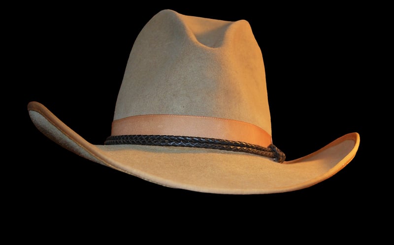 Wild West Cowboy